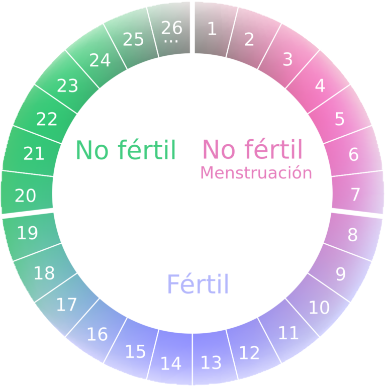 Todo Lo Que Debes Saber Sobre Metodos Anticonceptivos Blog Wortix 2371